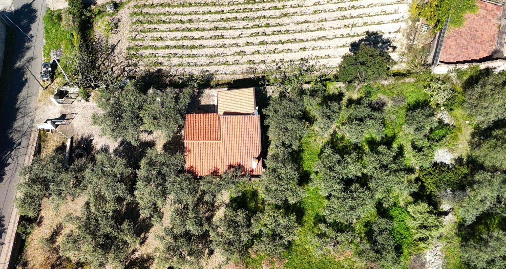 Welcomely - Badde Nuraghe Dimora Vista Mare Con Parcheggio Privato Magomadas Екстериор снимка